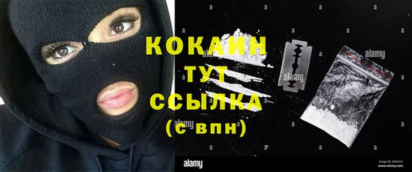 ECSTASY Белокуриха