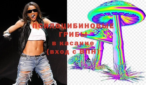 ECSTASY Белокуриха