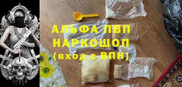 ECSTASY Белокуриха
