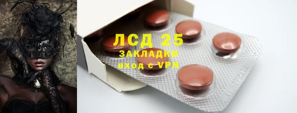 ECSTASY Белокуриха