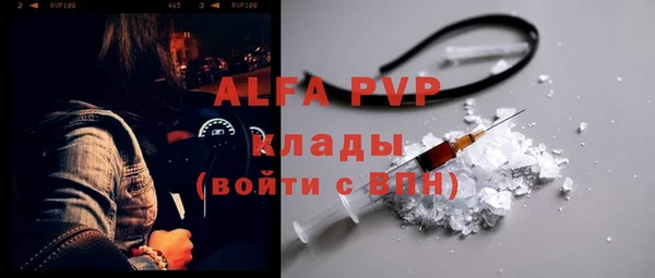 ECSTASY Белокуриха