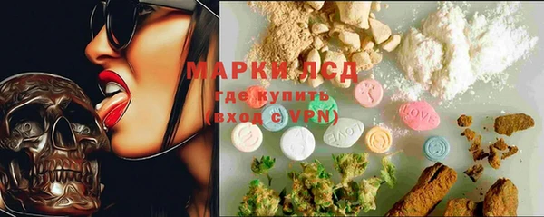 ECSTASY Белокуриха